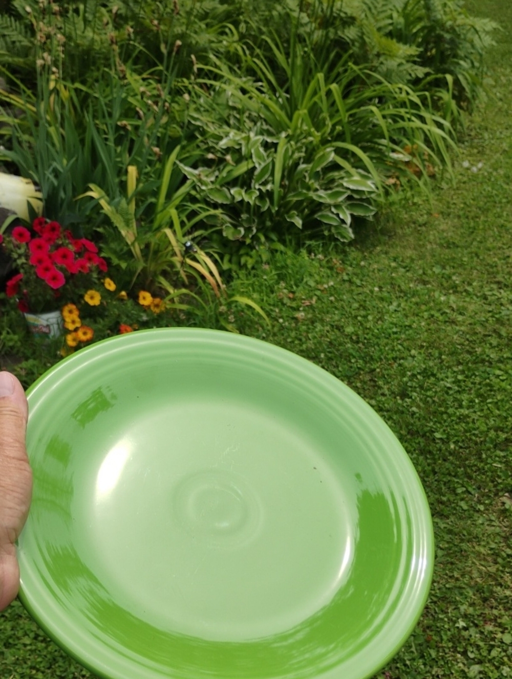 💃🏻 Vintage Green 🍏 Apple FIESTA DINNERWARE 💃